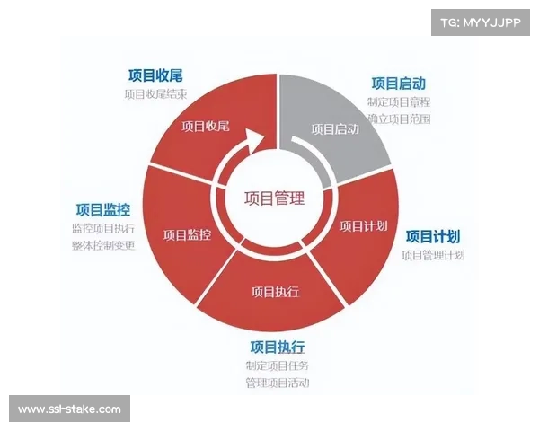 预测分析工具辅助内容投资决策，降低市场风险
